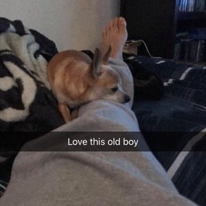 Meet your Posher, Edgar